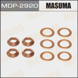 Шайбы для форсунок, набор MASUMA MDP2920