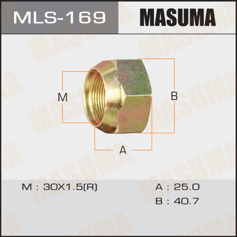 Гайка до вантажівки MASUMA MLS169