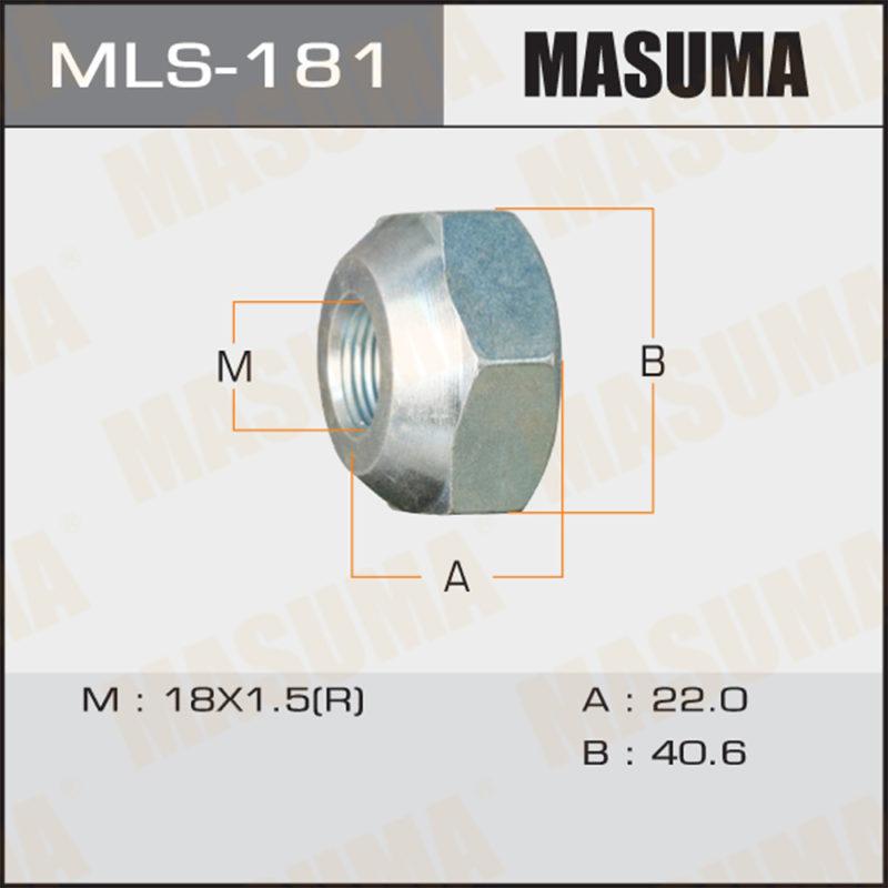 Гайка до вантажівки MASUMA MLS181