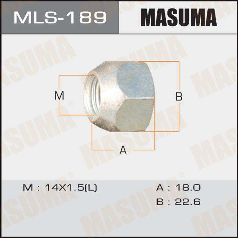 Гайка до вантажівки MASUMA MLS189
