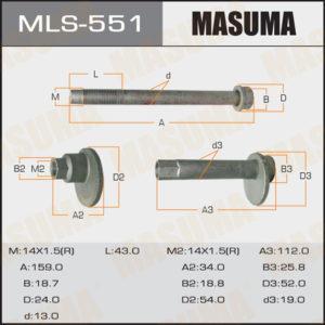 Болт ексцентрик MASUMA MLS551