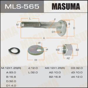 Болт ексцентрик MASUMA MLS565