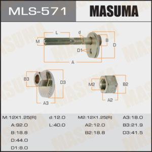 Болт ексцентрик MASUMA MLS571