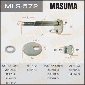 Болт ексцентрик MASUMA MLS572