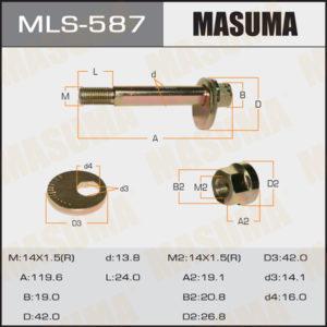 Болт ексцентрик MASUMA MLS587